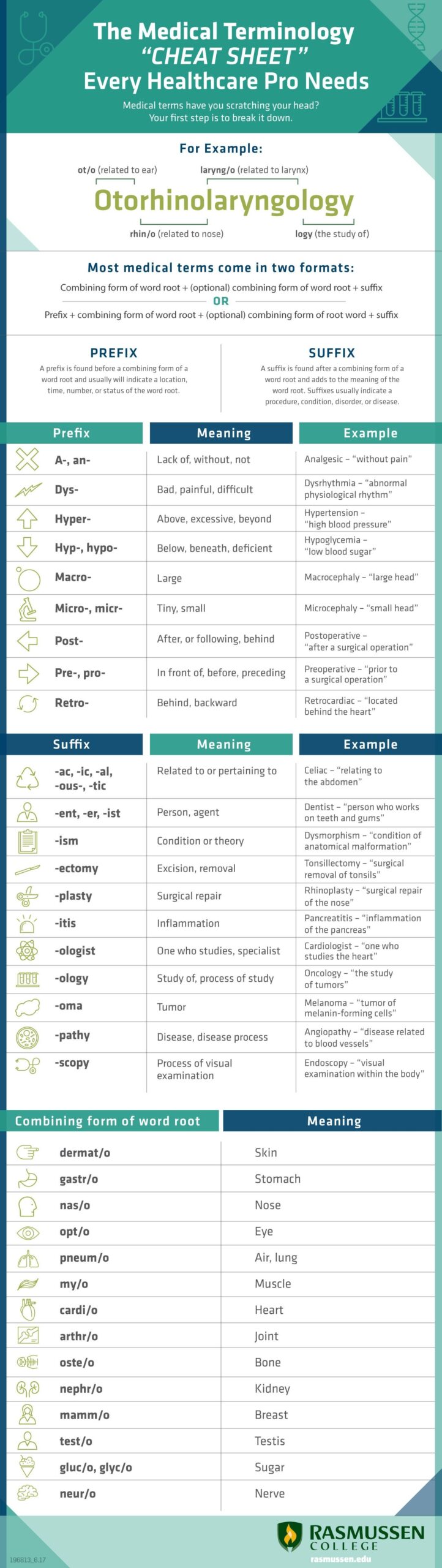 The Medical Terminology cheat Sheet Every Healthcare Pro Needs 