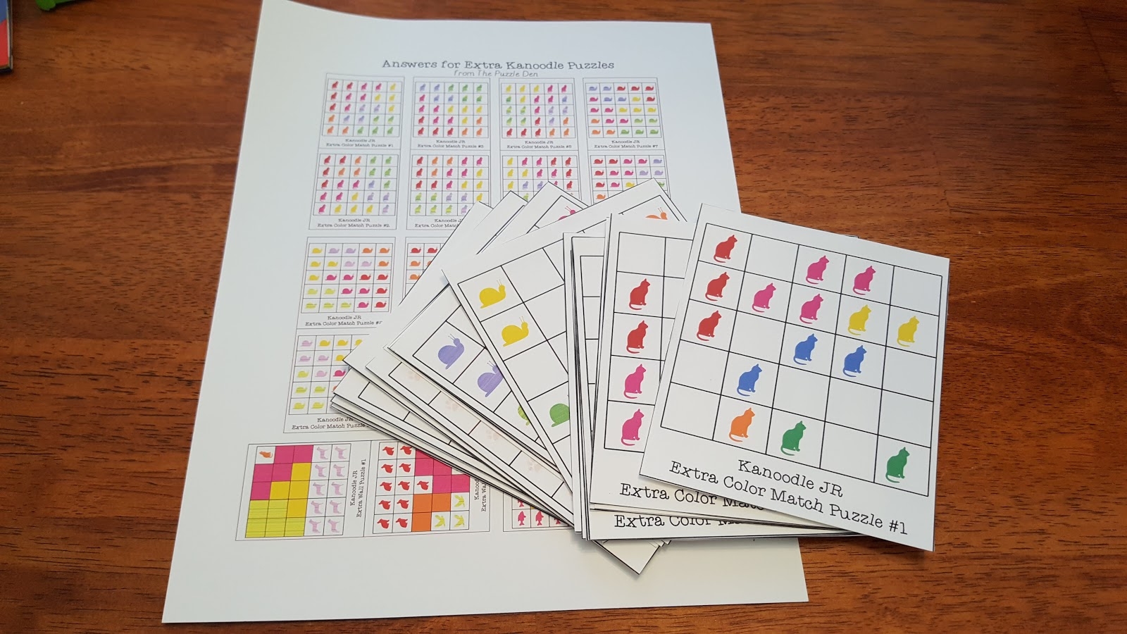 The Puzzle Den Kanoodle JR Extra Challenges
