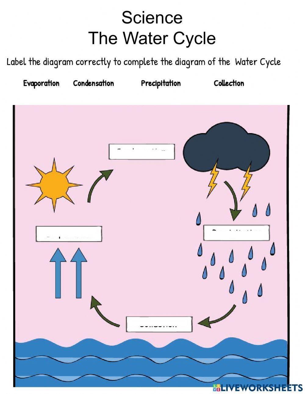 The Water Cycle Free Interactive Worksheets 784572