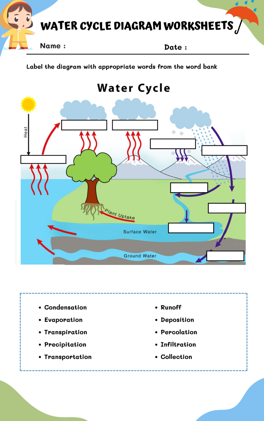 The Water Cycle Worksheet