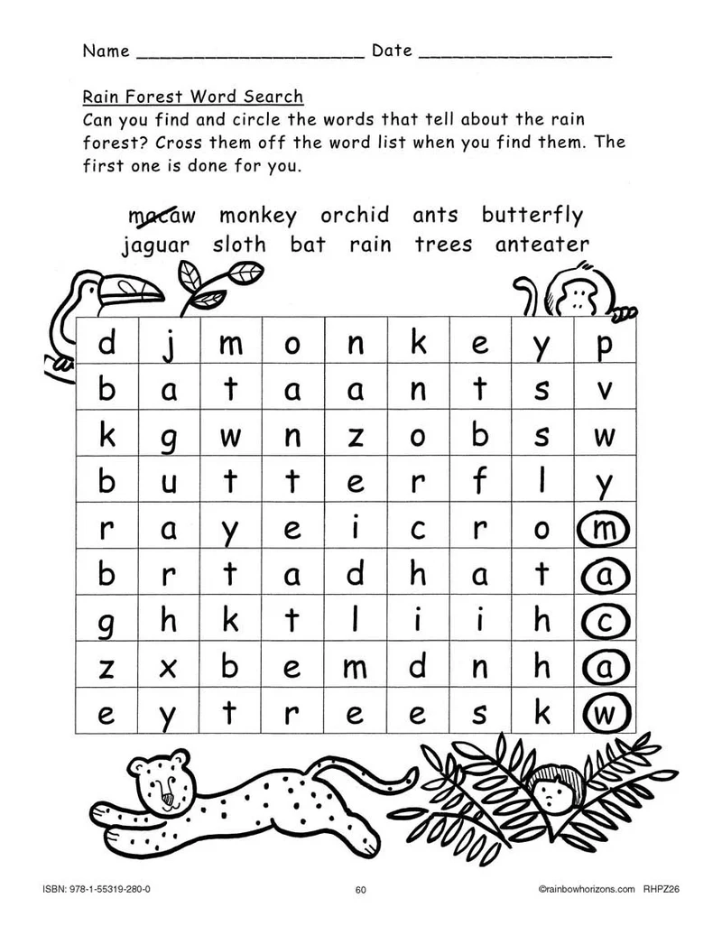 Tropical Rainforest Word Search WORKSHEET CLASSROOM COMPLETE 