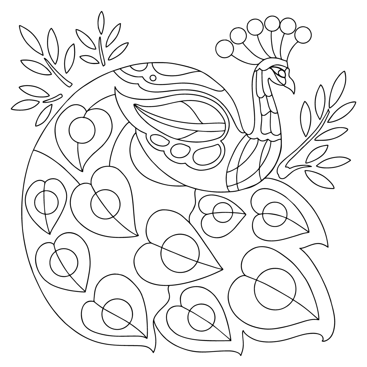 turquoise peacock peacocks coloring pages for adults