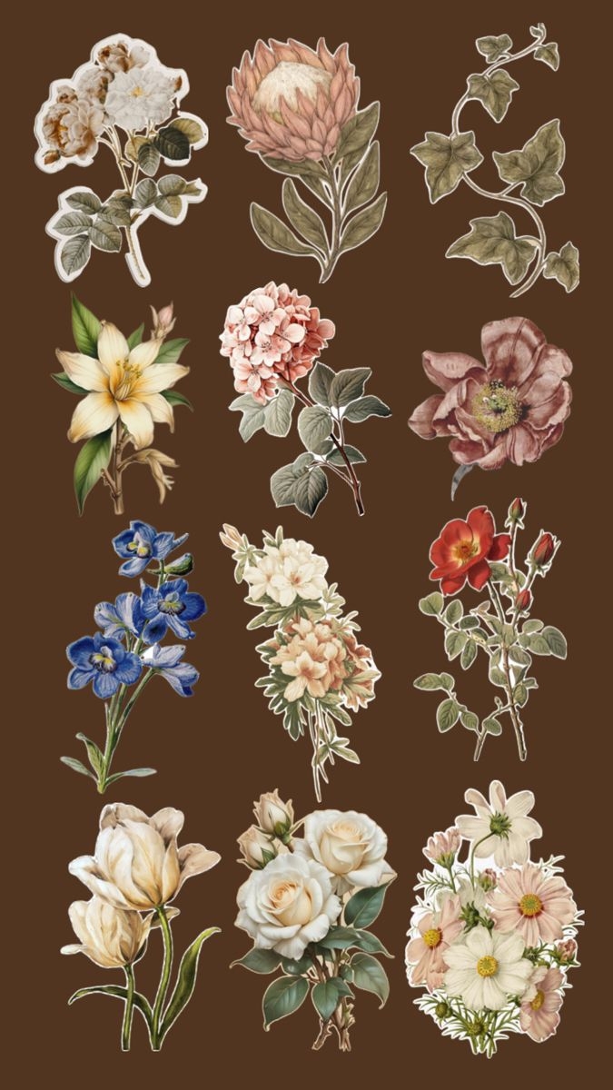 Vintage Aesthetic Flowers Vintage Aesthetic Stickers Printables 