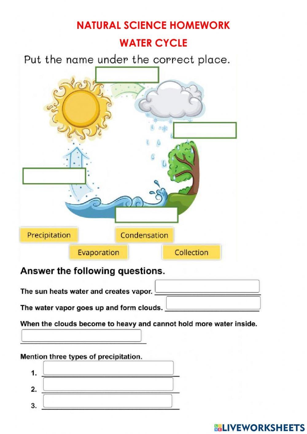 Water Cycle Free Interactive Worksheets 2265034