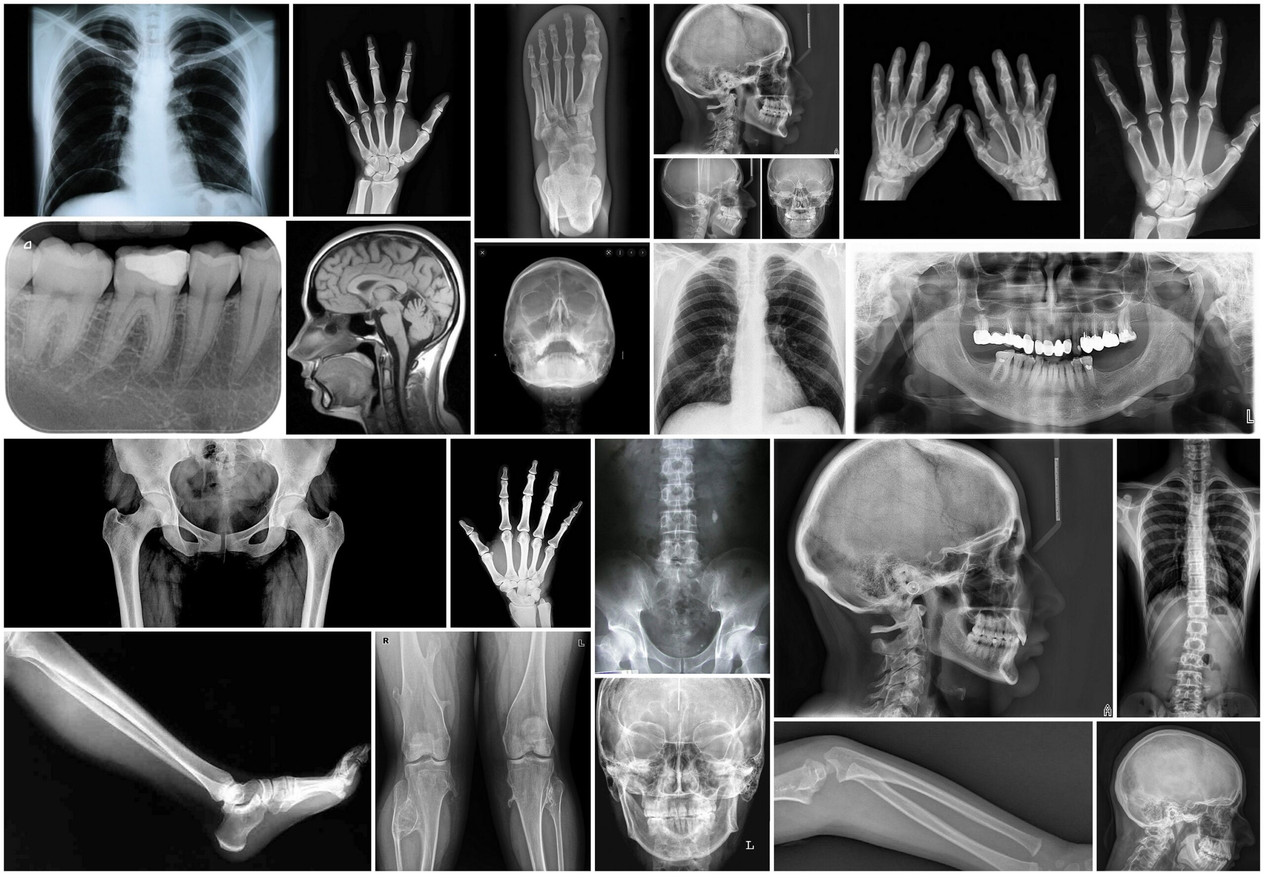 X Ray Files Instant Downloads Printable Tags Pages Paper Craft 