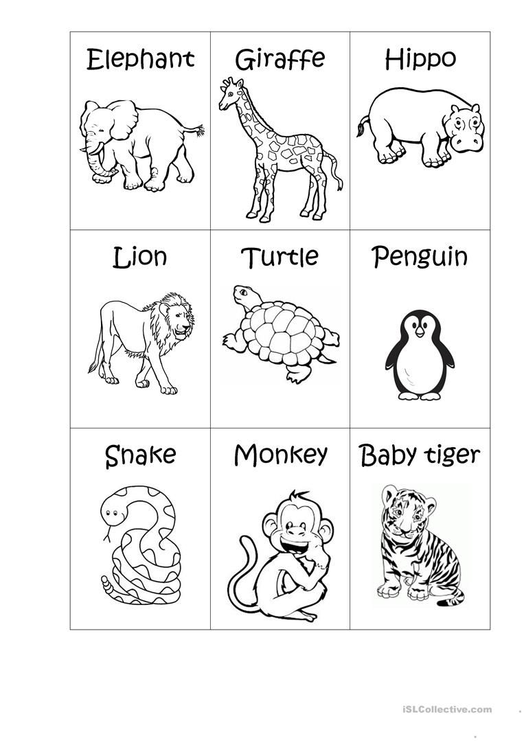 Zoo Animals Big Or Small Worksheets Library